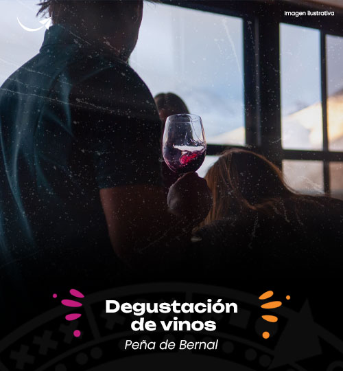 degustacion de vinos peña de bernal