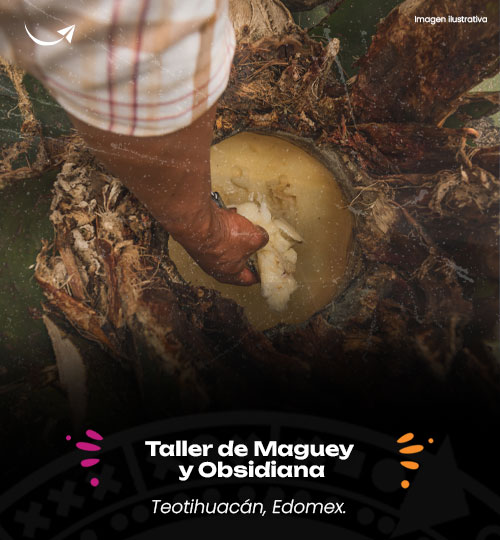 taller de maguey teotihuacan